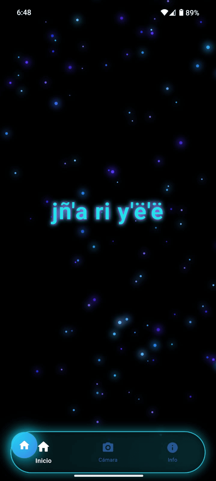 Interfaz principal de la aplicación